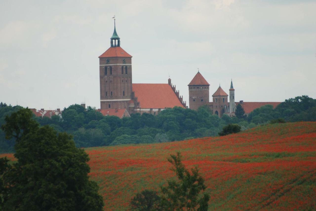 Dom Goscinny Ogluszka Pilec Exterior foto